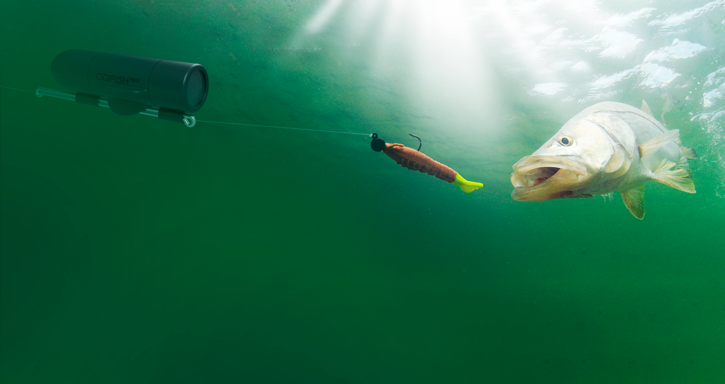 Los periodieke gerucht GoFish Cam - Underwater Fishing Camera That Sits On Your Line